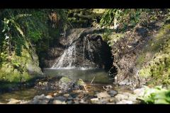 312921265_10229650633709552_5710030888808385438_n